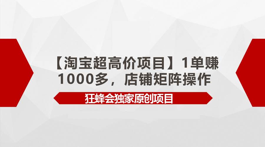【淘寶超高價項目】1單賺1000多，店鋪矩陣操作