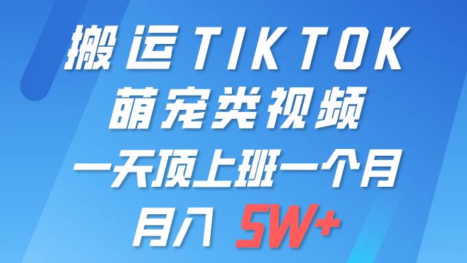 一鍵搬運TIKTOK萌寵類視頻 一部手機即可操作 所有平臺均可發布 輕松月入5W+