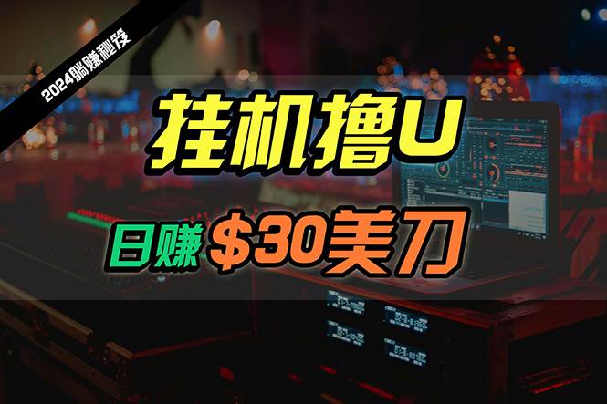 日賺30美刀，2024最新海外掛機(jī)擼U內(nèi)部項(xiàng)目，全程無人值守，可批量放大