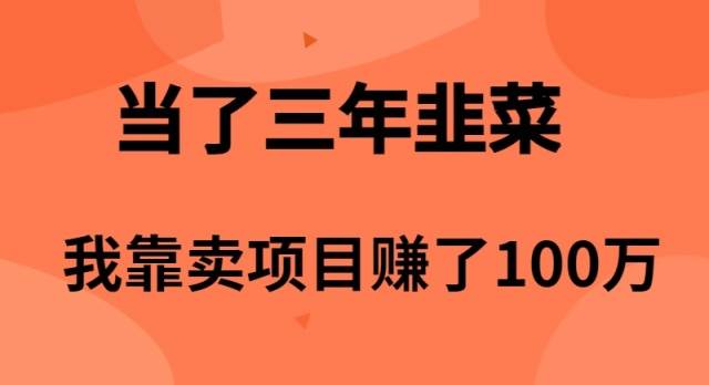 當(dāng)了3年韭菜，我靠賣項(xiàng)目賺了100萬
