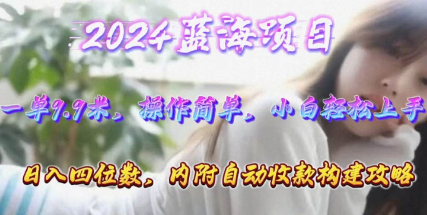 年輕群體的藍(lán)海市場(chǎng)，1單9.9元，操作簡單，小白輕松上手，日入四位數(shù)