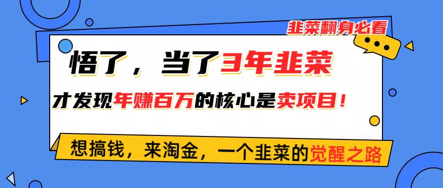 悟了，當了3年韭菜，才發(fā)現(xiàn)網(wǎng)賺圈年賺100萬的核心是賣項目，含淚分享！