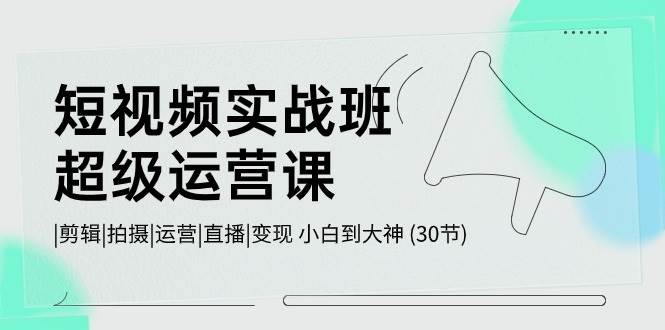 短視頻實戰(zhàn)班-超級運營課，|剪輯|拍攝|運營|直播|變現(xiàn) 小白到大神 (30節(jié))