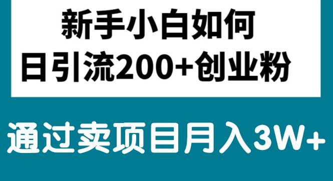 新手小白日引流200+創(chuàng)業(yè)粉,通過賣項目月入3W+