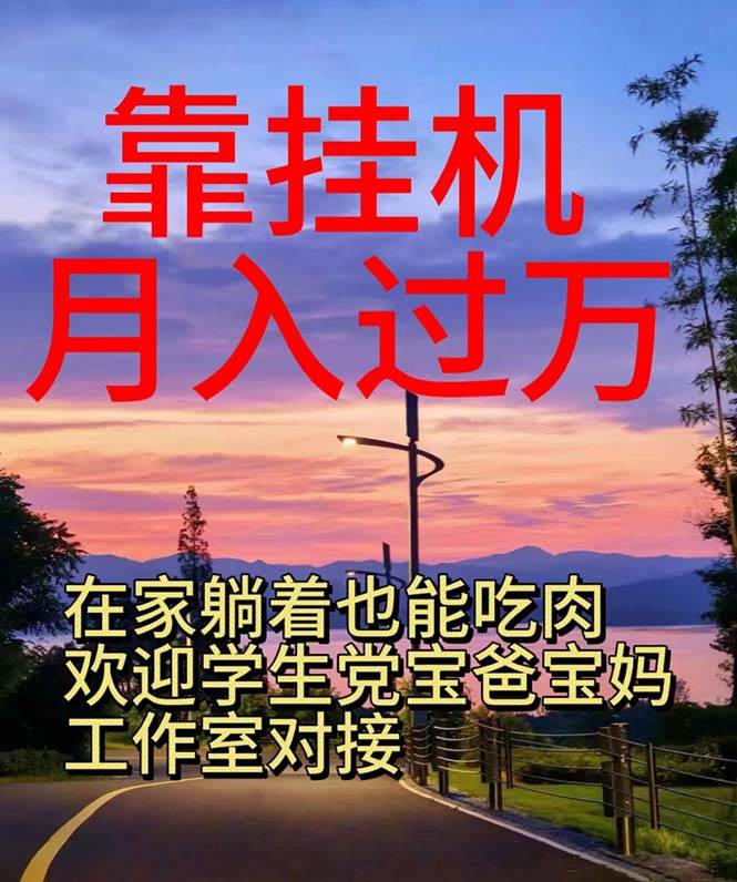 靠掛機，日入1000+，躺著也能吃肉，電腦手機都可掛