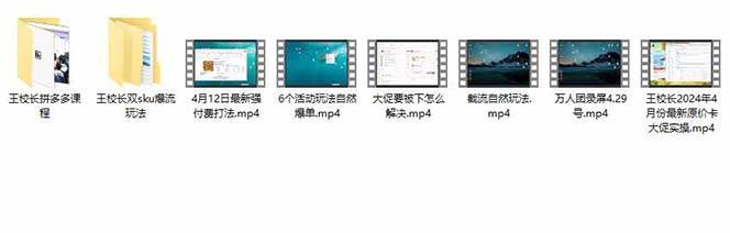 拼多多·實戰課：萬人團玩法/截流自然流/最新強付費打法/最新原價卡大促..插圖2