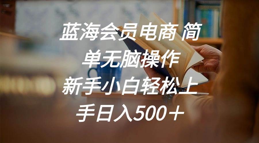藍海會員電商 簡單無腦操作 新手小白輕松上手日入500＋