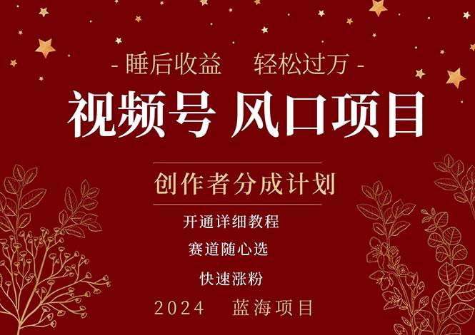 擁有睡眠收益的微信視頻號大風口項目，輕松月入過萬+，多賽道選擇，可…