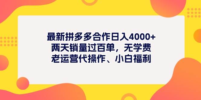 最新拼多多項目日入4000+兩天銷量過百單，無學費、老運營代操作、小白福利
