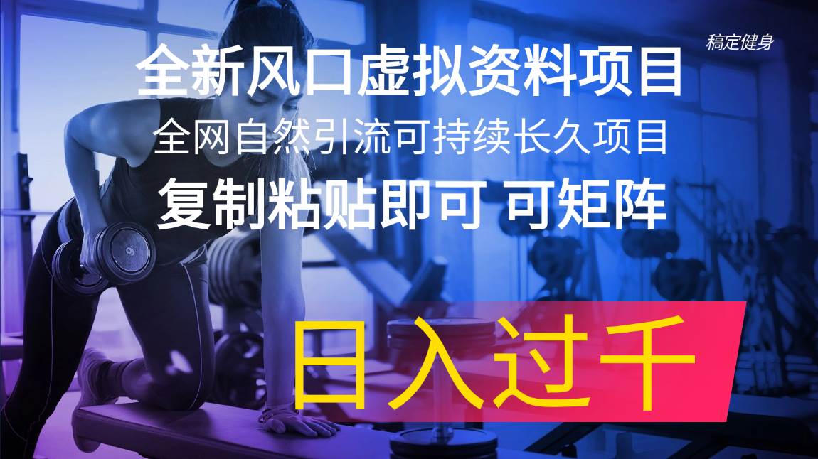 全新風口虛擬資料項目 全網自然引流可持續長久項目 復制粘貼即可可矩陣…插圖