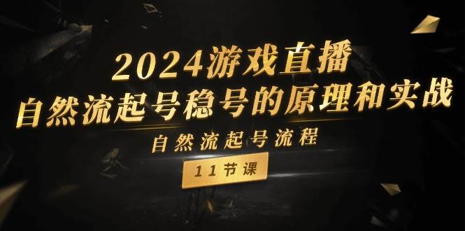 2024游戲直播-自然流起號穩號的原理和實戰，自然流起號流程（11節）插圖