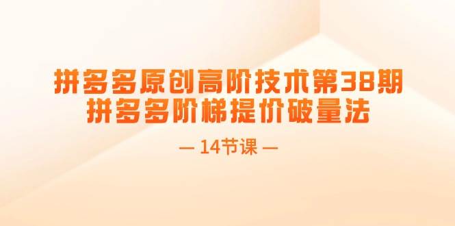 拼多多原創(chuàng)高階技術(shù)第38期，拼多多階梯提價(jià)破量法（14節(jié)課）插圖