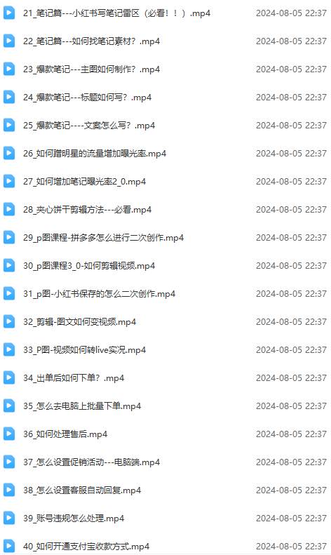 2024小紅書電商實(shí)戰(zhàn)課：全體系打造 全方位梳理 小紅書電商邏輯體系 (42節(jié))插圖2