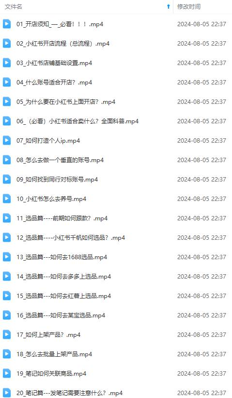 2024小紅書電商實(shí)戰(zhàn)課：全體系打造 全方位梳理 小紅書電商邏輯體系 (42節(jié))插圖1