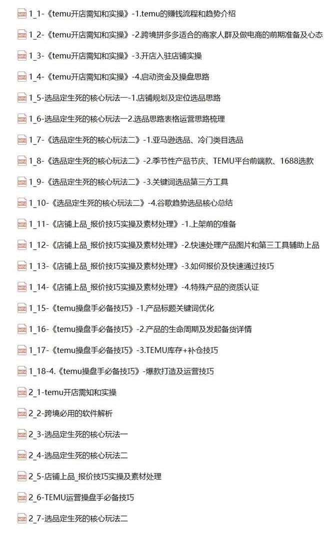 2024-TEMU拼多多·跨境開店、運營、選品（25節視頻課）插圖1